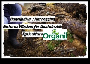 The Organic Way: Δημιουργία Κήπων με τη Σοφία της Φύσης