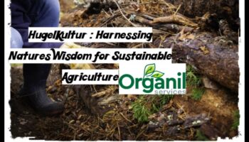 The Organic Way: Δημιουργία Κήπων με τη Σοφία της Φύσης