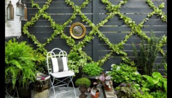 Pocket-Sized Paradise: Urban Gardening Inspirations