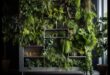 Green Ascent: The Art and Science of Vertical Gardening