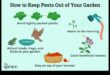 Defend the Dream: Strategies for Garden Pest Management