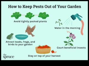 Defend the Dream: Strategies for Garden Pest Management